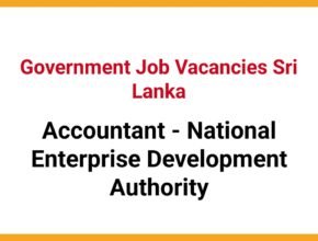 Accountant - National Enterprise Development Authority