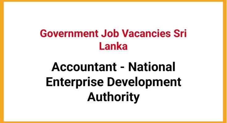 Accountant - National Enterprise Development Authority