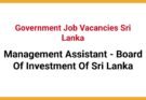 Management Assistant - Board Of Investment Of Sri Lanka