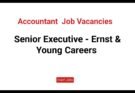 Senior Executive - Ernst & Young Careers