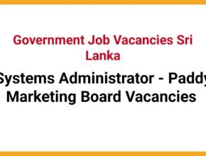 Systems Administrator - Paddy Marketing Board Vacancies